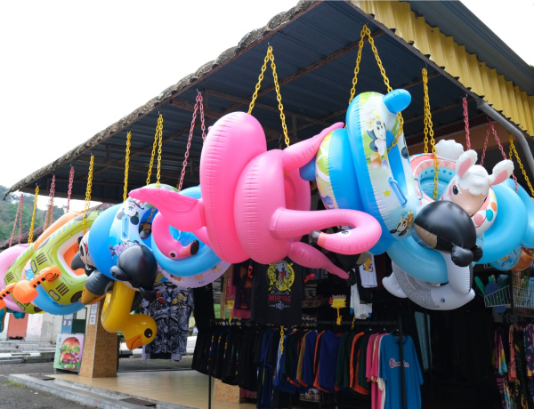 Swimming Gear Rental