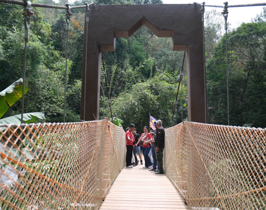 suspension bridge 1